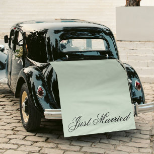 Green Just Married Fabric Car Wedding Banner Sign Tapestry