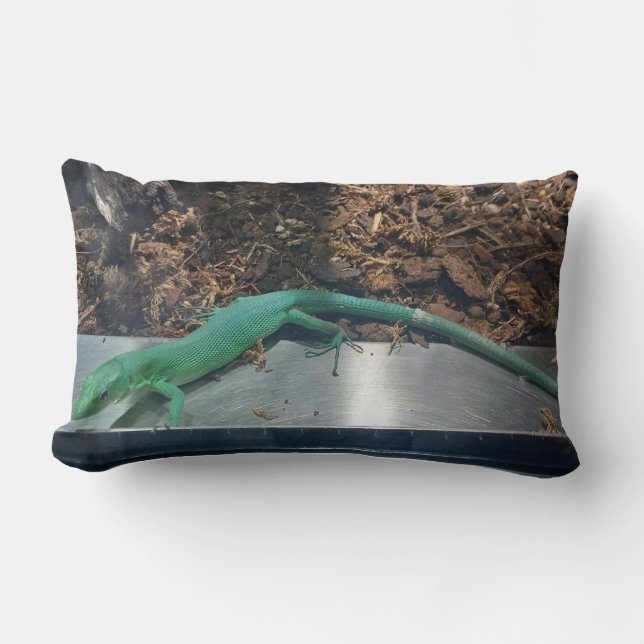 Green Keel Bellied Lizard Pillow (Front)