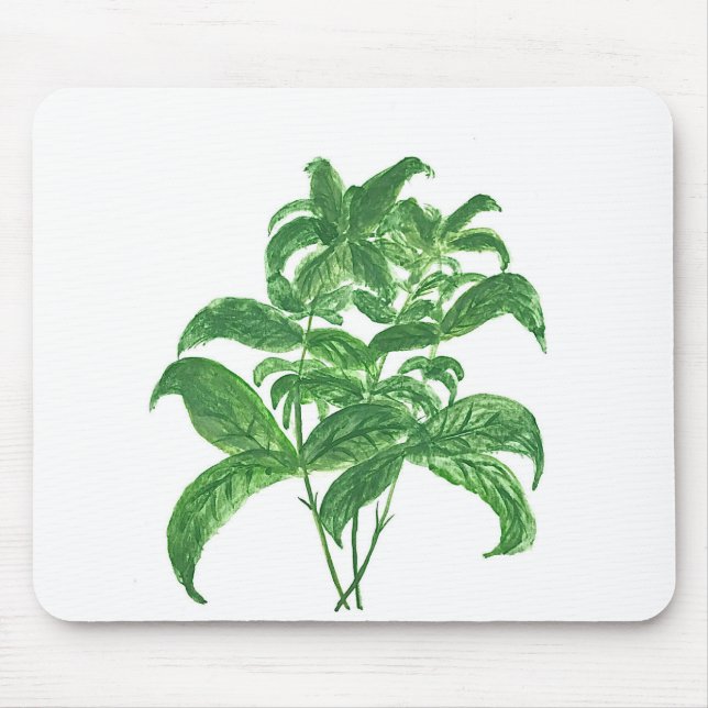 Green kitchen botanical plants herbs Basil Mouse Pad (Front)
