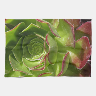 Green Kitchen Towel