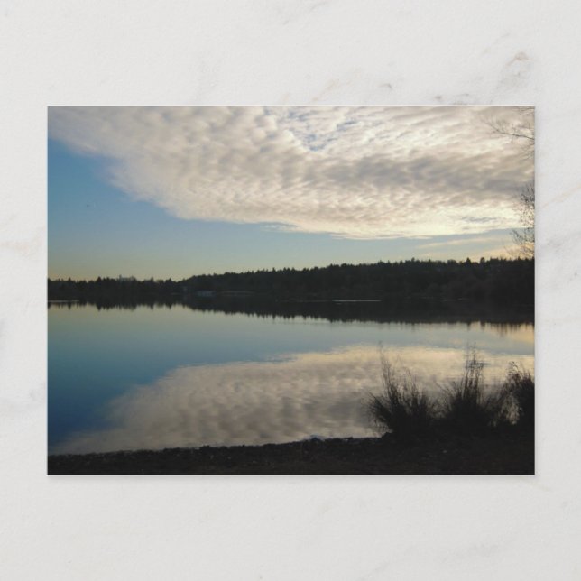 Green Lake Postcard (Front)