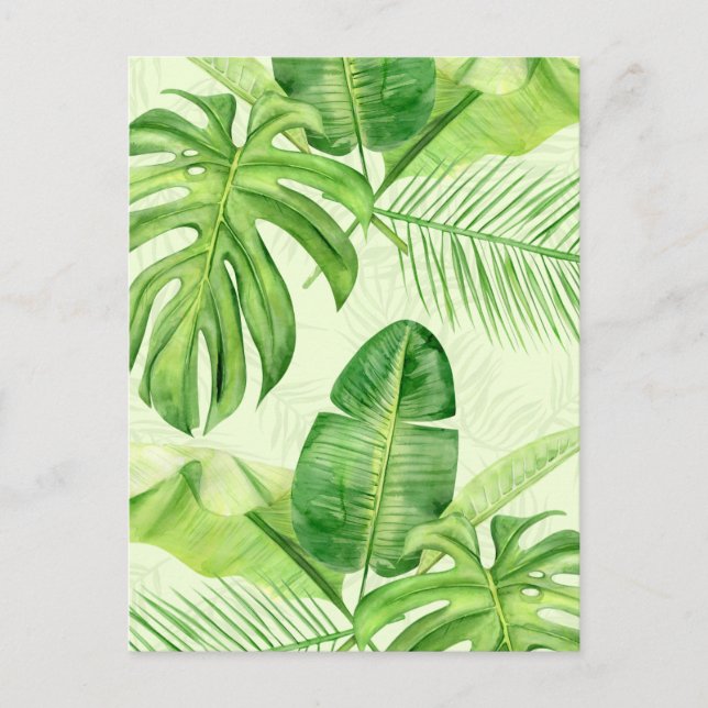 Green Large Tropical Exotic Leaves   Postcard (Front)