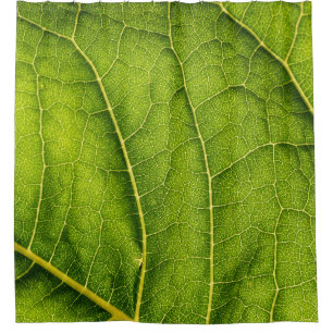 Green leaf