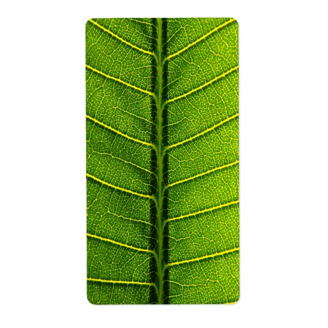 Green leaf (Front)