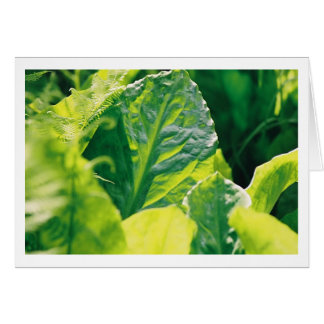 Green Leaf