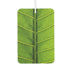 Green leaf air freshener