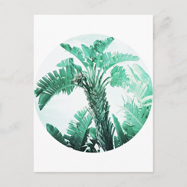 Green leaf banana plant postcard (Front)