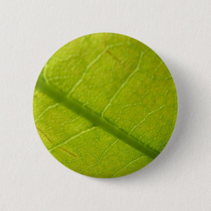 Green Leaf Botanical Nature Photography 2 Inch Round Button