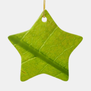 Green Leaf Botanical Nature Photography Ceramic Ornament