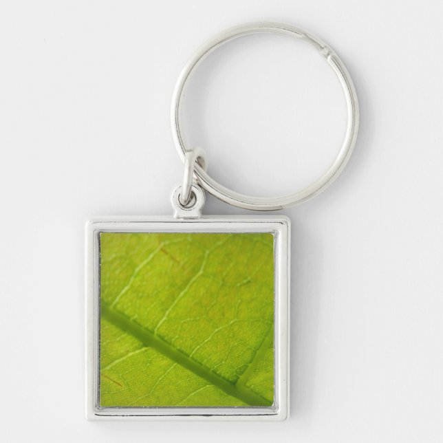 Green Leaf Botanical Nature Photography Keychain (Front)