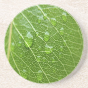 Green Leaf Coaster