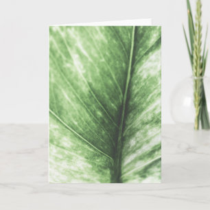 Green Leaf Floral Photo Card