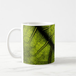 Green leaf in close up photography coffee mug