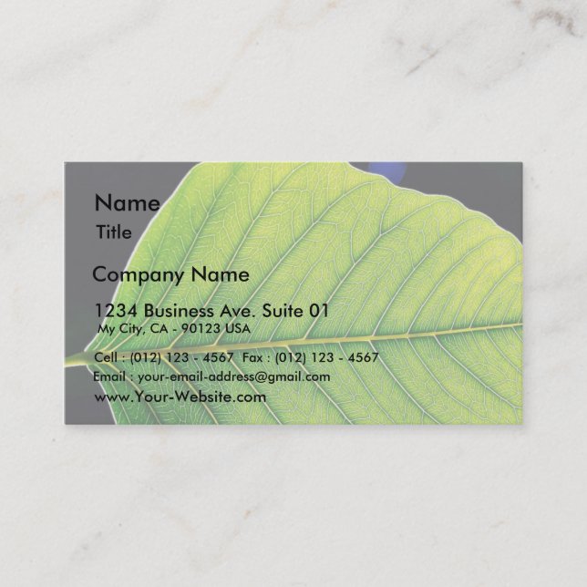 Green Leaf Leaves Business Card (Front)