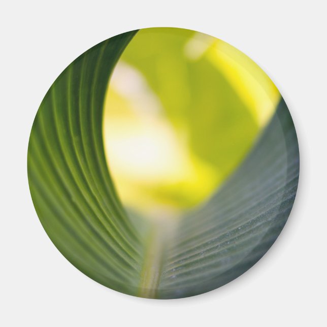 Green leaf magnet (Front)