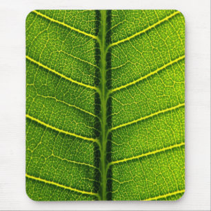 Green leaf mouse pad