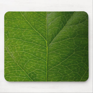 Green Leaf Mouse Pad