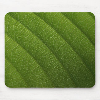 Green leaf mouse pad