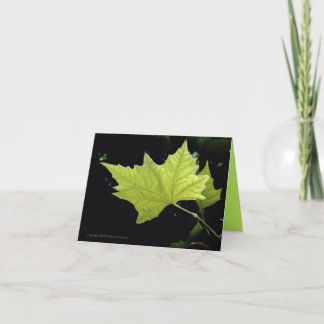 Green Leaf Note Cards