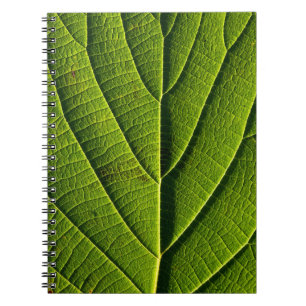 Green leaf notebook
