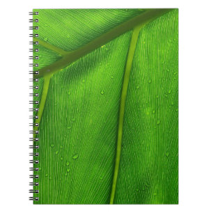 Green leaf notebook