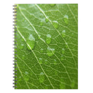 Green Leaf Notebook