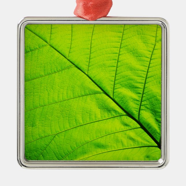Green leaf Ornaments (Front)