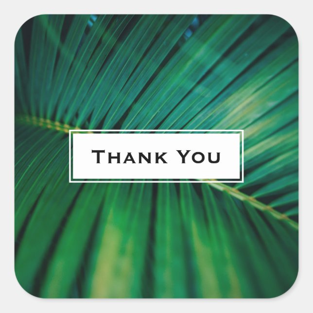 Green Leaf Palm Frond Tropical Nature Thank You Square Sticker (Front)