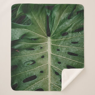 Green leaf plant sherpa blanket