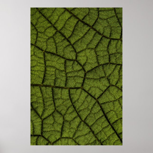 Green leaf poster (Front)
