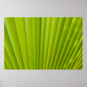 Green leaf poster