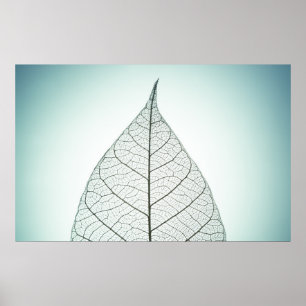 Green Leaf Skeleton Poster