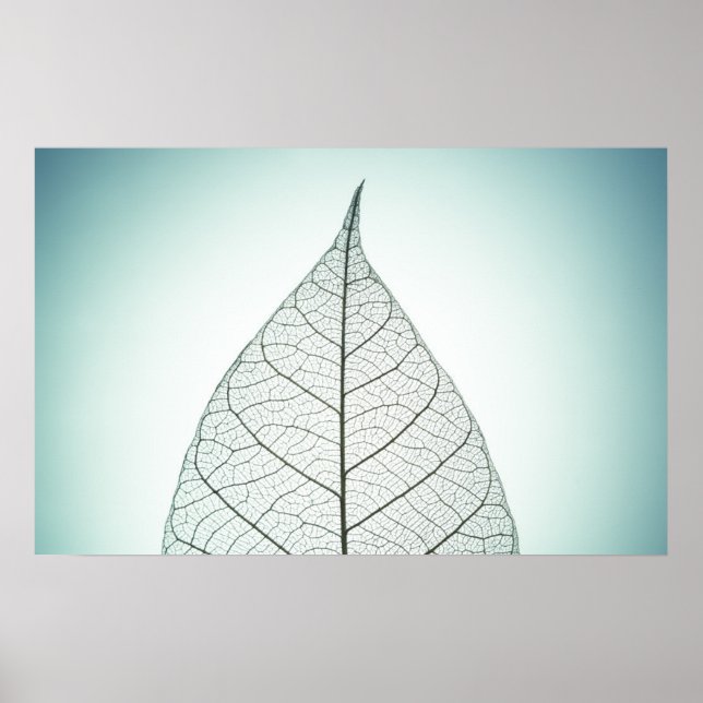 Green Leaf Skeleton Poster (Front)