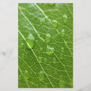 Green Leaf Stationery