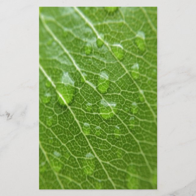 Green Leaf Stationery (Front)