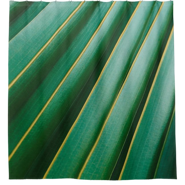 Green leaf texture plant stripes (Front)
