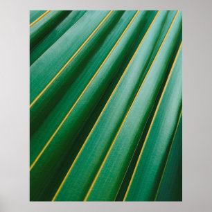 Green leaf texture plant stripes poster