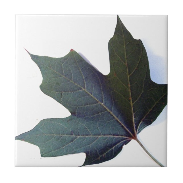 Green Leaf Tile (Front)