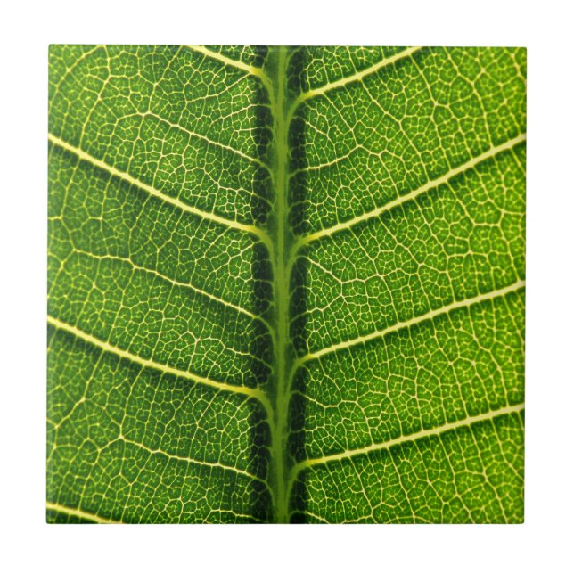 Green leaf tile (Front)