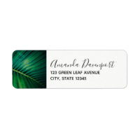 Green Leaf Tropical Forest Nature Photo