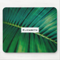 Green Leaf Tropical Forest Nature Photo