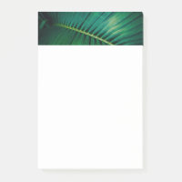Green Leaf Tropical Forest Nature Photo
