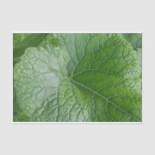 Green Leaf Vein Detail Tissue Paper