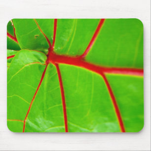 Green Leaf with Red Veins Mouse Pad