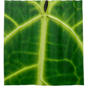 Green-leafed plant