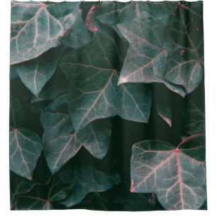 GREEN-LEAFED PLANT