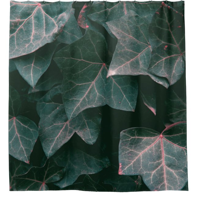 GREEN-LEAFED PLANT (Front)