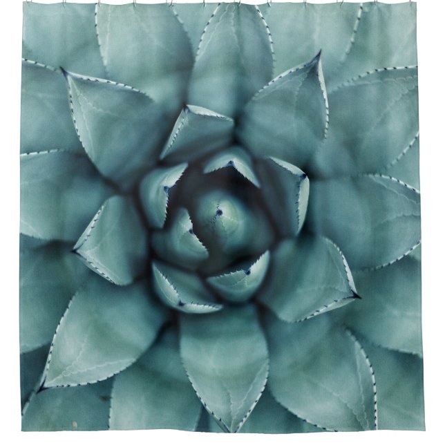 Green leafed plant (Front)