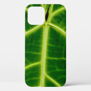 Green-leafed plant iPhone 12 case