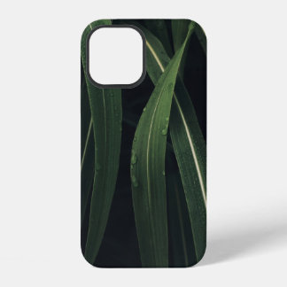 GREEN-LEAFED PLANT iPhone 12 CASE